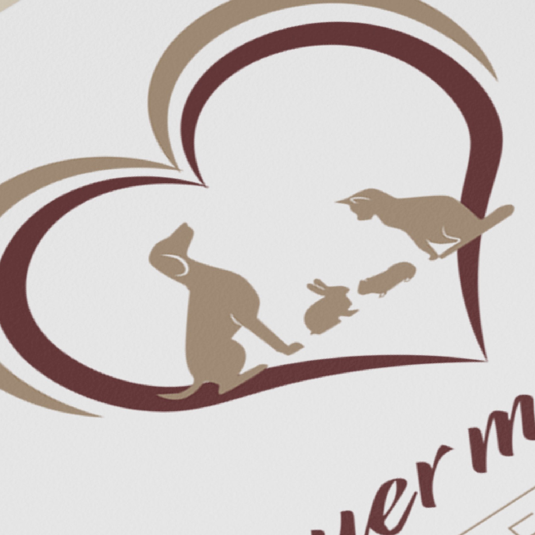 OIA_Portfolio_Logo-21-1@2x