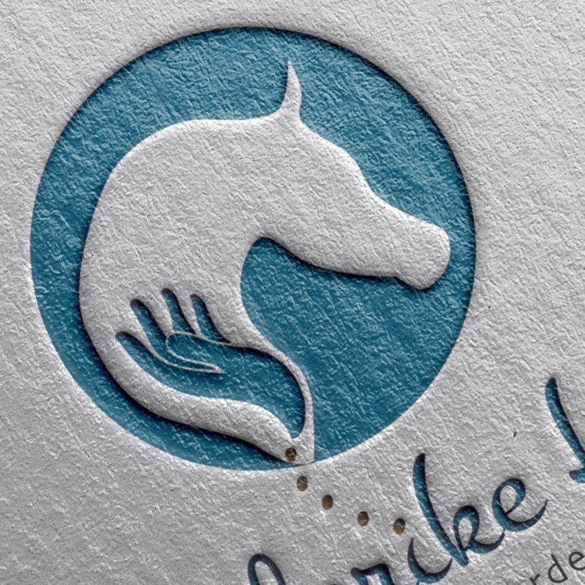 OIA_Portfolio_Logo_03 – 85