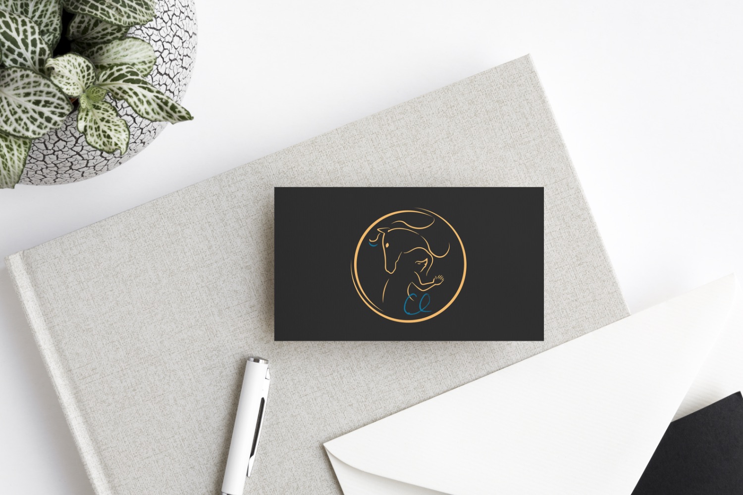 OIA_Portfolio_Logo Design_-13