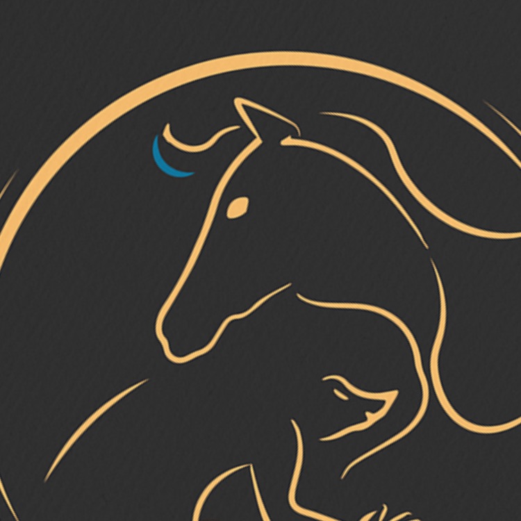 OIA_Portfolio_Logo Design_-20