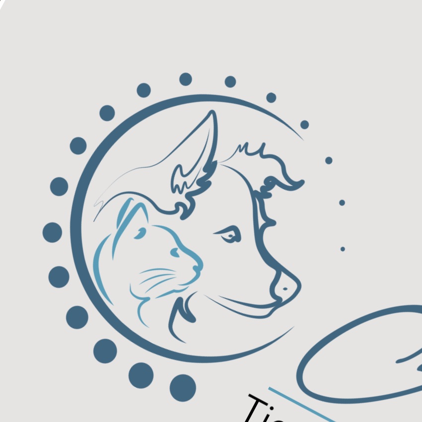 OIA_Portfolio_Logo Design_-26
